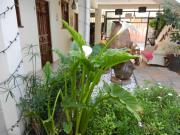 Top San Cristóbal de Las Casas