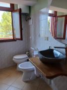 franci e aurora house