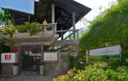 Top Kamala Beach