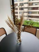 Top Santiago Top Santiago