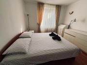 Top Timişoara Top Timişoara