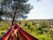 Top Villanueva de Alcolea