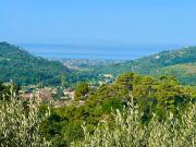 Top Camaiore