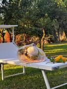 Lemon Factor Sorrento