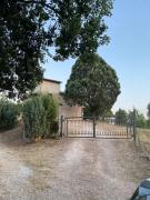 Top Todi