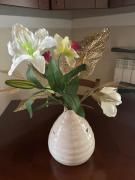 Top Nizza Monferrato Top Nizza Monferrato