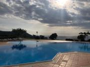 Top Parghelia