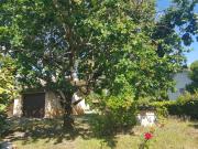 Top Vendays-Montalivet