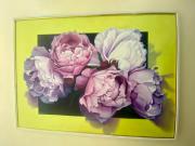 Top Santiago de los Caballeros