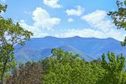 Top Gatlinburg