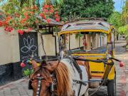 Top Gili Trawangan