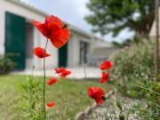 Maison de vacances sur Oleron