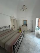 Top Mottola Top Mottola