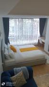 Executive Studio Apartment in Kilimani, Nairobi