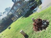 Top Bateias de Baixo