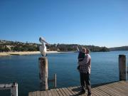 Top Narrabeen