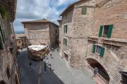 Top Assisi