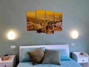 Top Fara Filiorum Petri