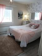 Lapland winter house