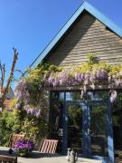 Vakantiewoning De Lotus