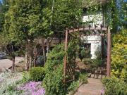 Top D膮br贸wka Tuchowska Top D膮br贸wka Tuchowska