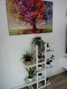 Apartamento Plaza Palmeras