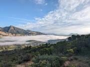 Top Dorgali