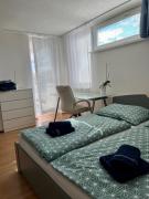 Sunny apartment near the center