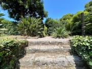 Top São Vicente Ferreira