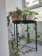 APARTAMENTO BOLBORETA