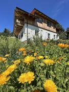 Top Ramsau am Dachstein