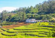 Top Ooty
