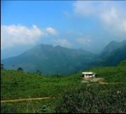 Top Vagamon