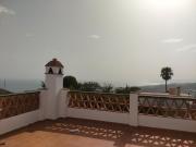 Top Torrox