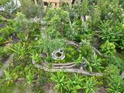 Ubuntu Kreative Village