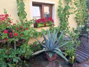 Top Jindrichuv Hradec Top Jindrichuv Hradec