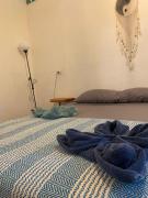 Top Cocles Top Cocles