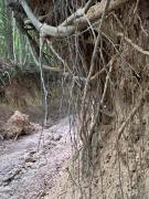 Top Guciów Top Guciów