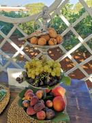 B&B Corallo B&B Corallo