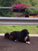 Top Baselga di Pinè