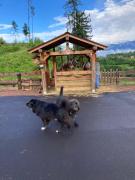 Top Baselga di Pinè