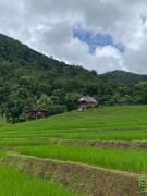 บ้านพักชิปู ป่าบงเปียง