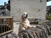 Top Somerford Keynes