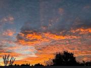 Habitación en el centro de bienestar TFM