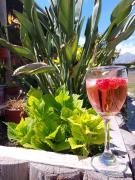 Top Los Andes Top Los Andes