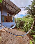 Monteverde Cecropia Paradise