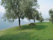 Top Monte Isola