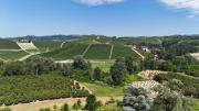 Top Castiglione Falletto