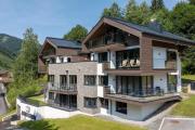 Top Viehhofen