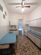 Flavia House Flavia House